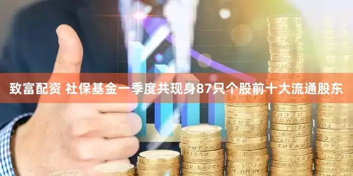 致富配资 社保基金一季度共现身87只个股前十大流通股东