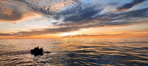 上阳网 你要“草本元素”，他给“量子科学”，产教融合何以告别“平行线”