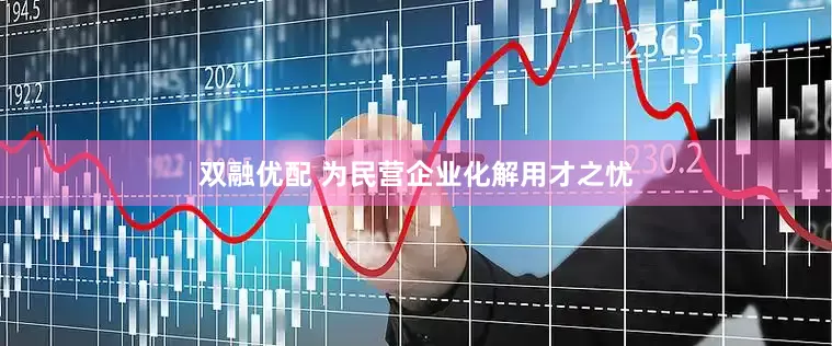 双融优配 为民营企业化解用才之忧