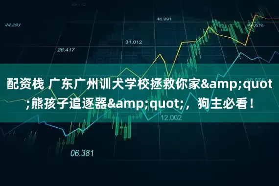 配资栈 广东广州训犬学校拯救你家&quot;熊孩子追逐器&quot;，狗主必看！