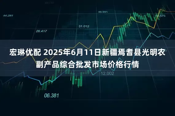 宏琳优配 2025年6月11日新疆焉耆县光明农副产品综合批发市场价格行情