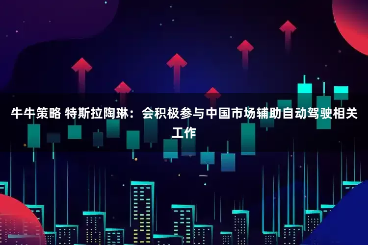 牛牛策略 特斯拉陶琳：会积极参与中国市场辅助自动驾驶相关工作